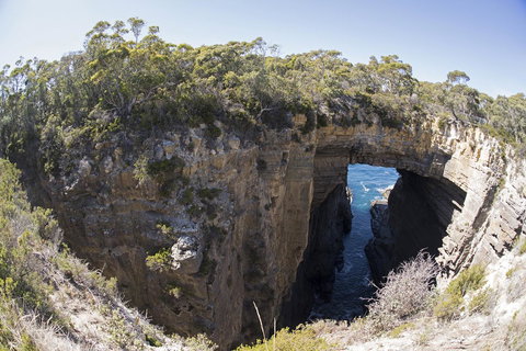 Eaglehawk Pavilions - New South Wales Tourism  34