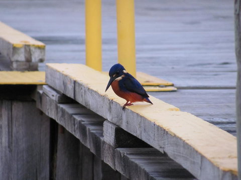 The Crays Accommodation - New South Wales Tourism  37