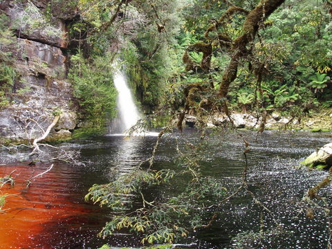 The Crays Accommodation - New South Wales Tourism  38