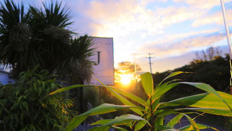 New Norfolk Junction Motel - New South Wales Tourism  31