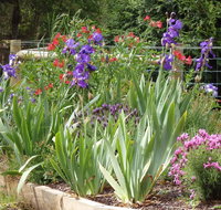 Karoola Cottage Self Contained - New South Wales Tourism 