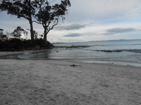 Bruny Ocean Cottage - New South Wales Tourism  7