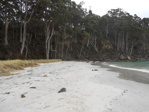 Bruny Ocean Cottage - New South Wales Tourism  12