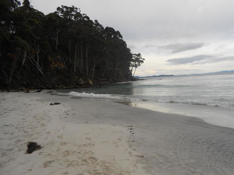 Bruny Ocean Cottage - New South Wales Tourism  17