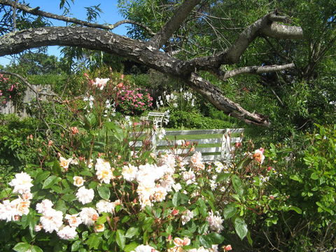 The Grove Cottages - New South Wales Tourism  11