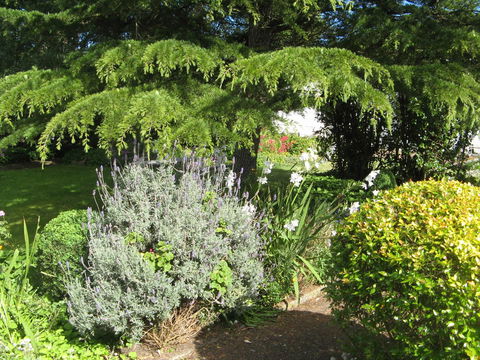 The Grove Cottages - New South Wales Tourism  12