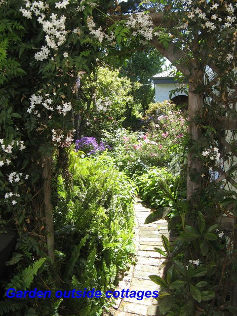 The Grove Cottages - New South Wales Tourism  3
