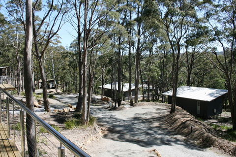 Craggy Peaks Wilderness Cabins - New South Wales Tourism  22