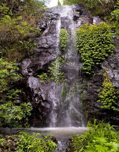 Nimbin Waterfall Retreat - New South Wales Tourism  3