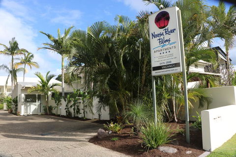 Noosa River Palms - New South Wales Tourism  2