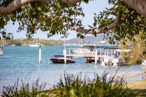 Noosa River Palms - New South Wales Tourism  1