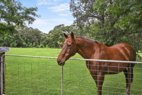 NUNGAROO COTTAGE - New South Wales Tourism  3