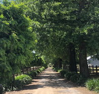 Oak Lane Guest House  Farm Stay - New South Wales Tourism 