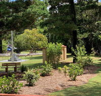 Ocean Spray Sawtell