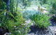 Old Miners' Cottages Bed And Breakfast - thumb 0