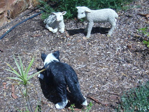 Old Miners' Cottages Bed And Breakfast - New South Wales Tourism  2