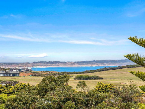 Olive Grove - New South Wales Tourism  1