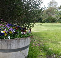 Padthaway Caravan Park - New South Wales Tourism 