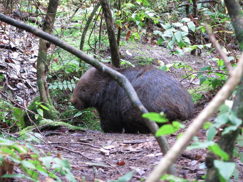 Paradiso Kinglake - New South Wales Tourism  2