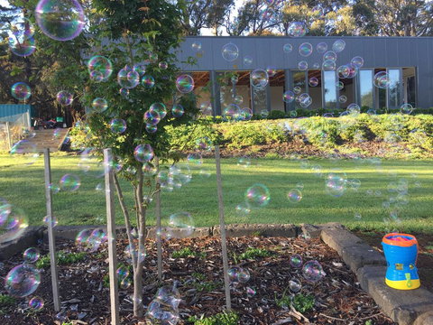 Paradiso Kinglake - New South Wales Tourism  1