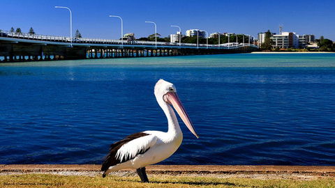 Parkside Marina 1 - CBD Location - New South Wales Tourism  2