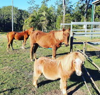 Paskins Farm