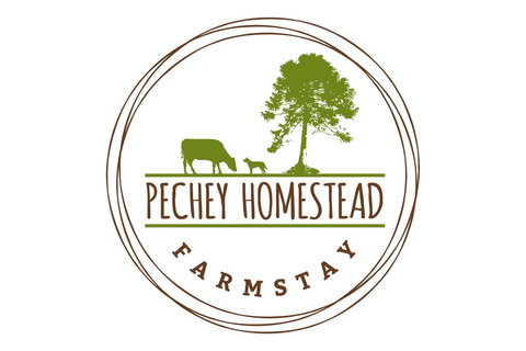 Pechey Homestead - New South Wales Tourism  1