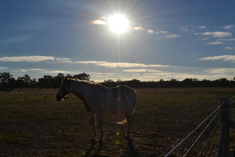 Penny's Place In The Pyrenees - New South Wales Tourism  1