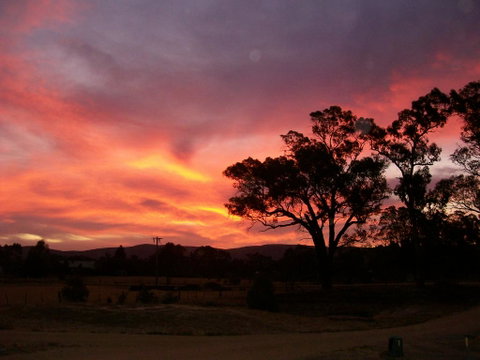 Penny's Place In The Pyrenees - New South Wales Tourism  2