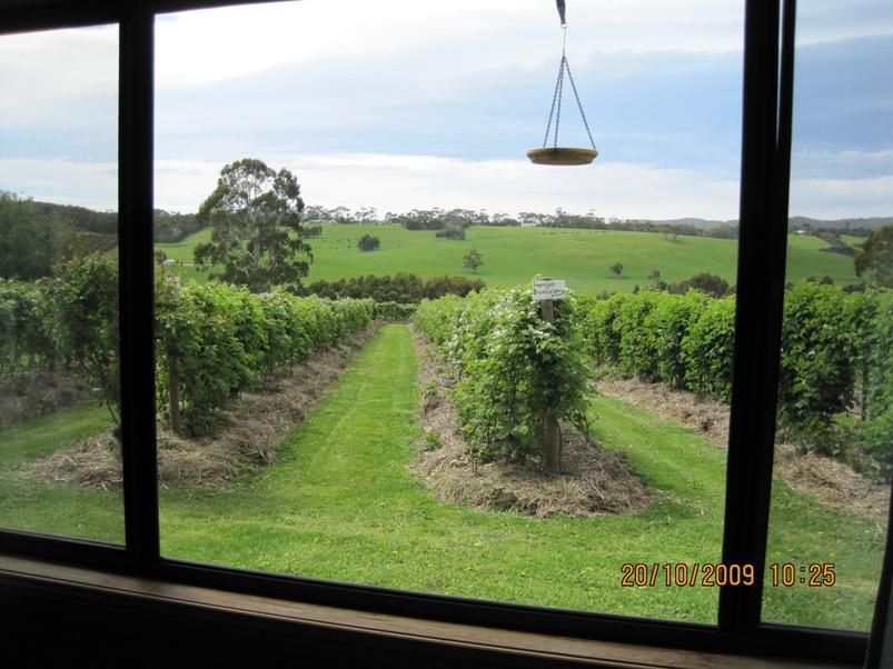 Barwon Downs ACT New South Wales Tourism 