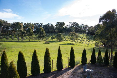 Phoenix - New South Wales Tourism  3