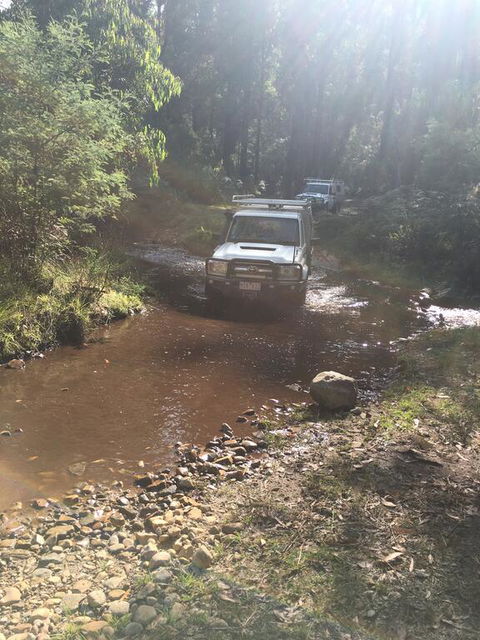 PNL 4WDriving Narbethong - New South Wales Tourism  3