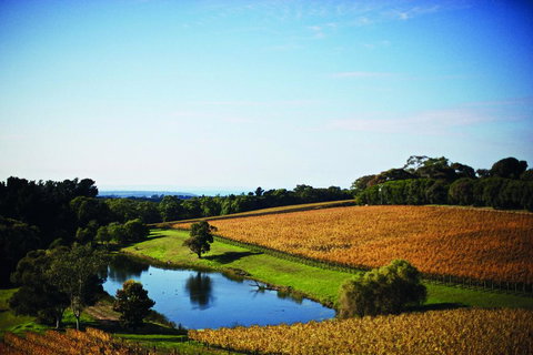 Port Phillip Estate - New South Wales Tourism  2