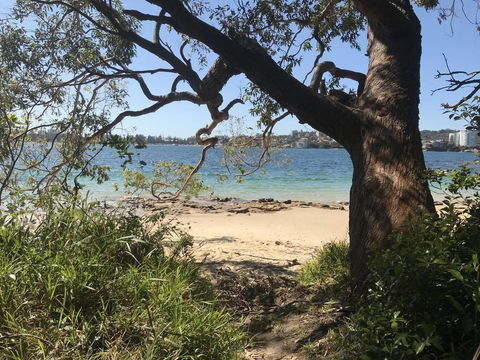 Queenscliff Beach Apartment - New South Wales Tourism  1