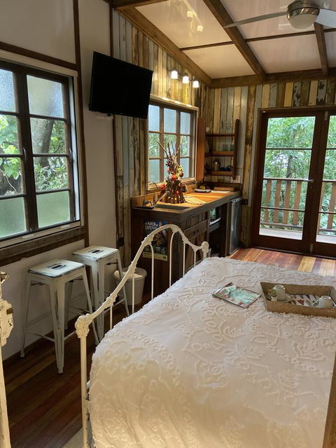 Rain Forest Gem - New South Wales Tourism  3