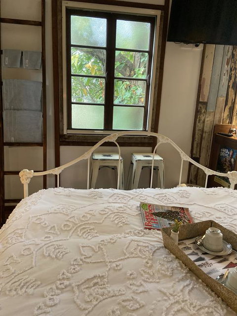 Rain Forest Gem - New South Wales Tourism  2