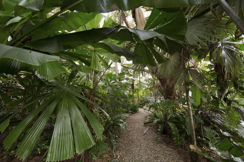 Rainforest Castaways Resort And Spa - New South Wales Tourism  1