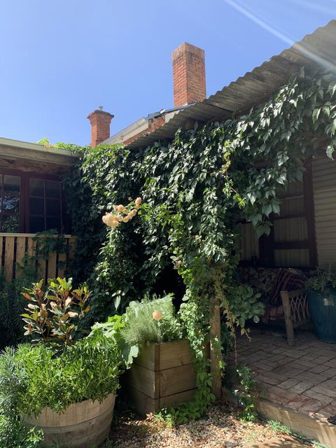 Red Hill Cottage - New South Wales Tourism  2