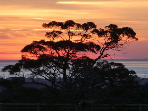 Red Hill Ridge - New South Wales Tourism  1