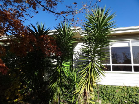 Retro Retreat - New South Wales Tourism  2