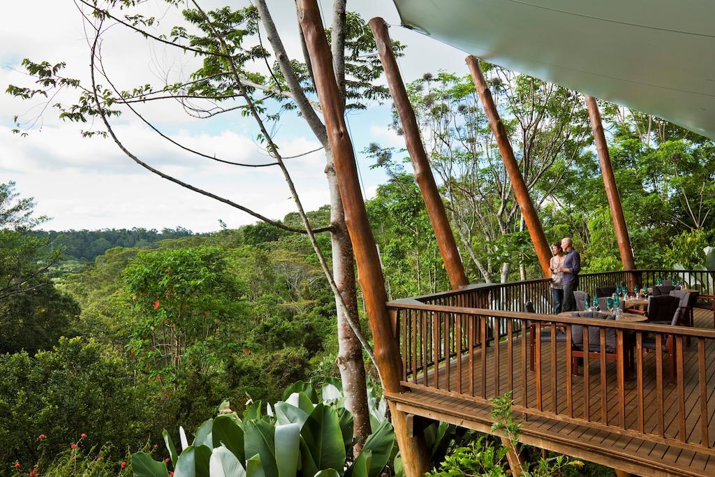 Butchers Creek QLD New South Wales Tourism 
