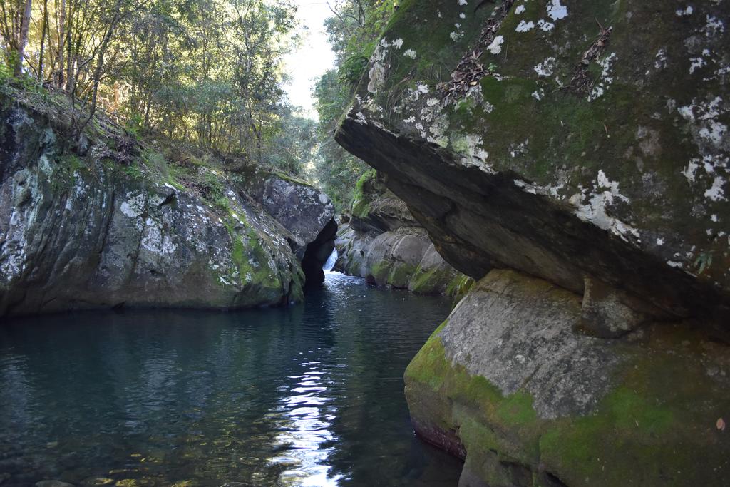 Salisbury NSW New South Wales Tourism 
