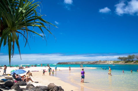 Sea Mist Palms - New South Wales Tourism  0