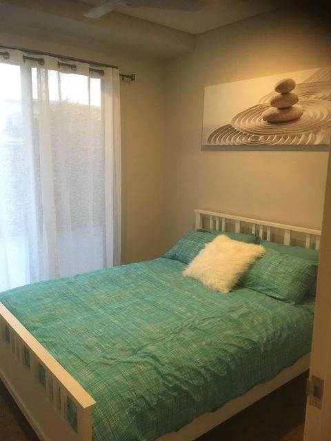 Seashells On Park Beach - New South Wales Tourism  1