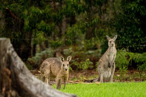 Secura Lifestyle Countryside Kalaru - New South Wales Tourism  0