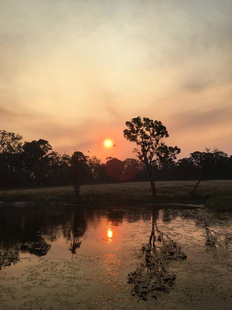 Serenity On Stanthorpe - New South Wales Tourism  2