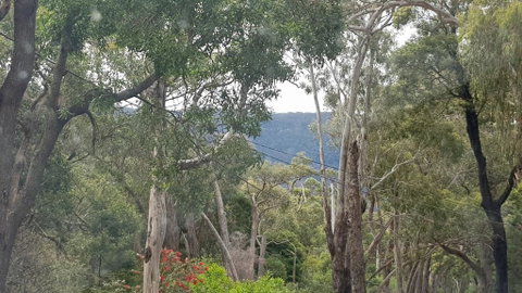 Six Seasons - Halls Gap - New South Wales Tourism  3