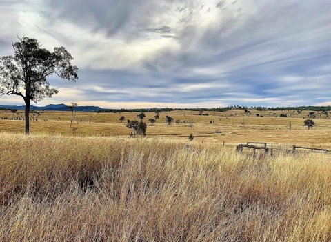 Skyline Farm House - New South Wales Tourism  3