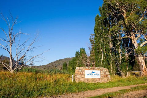 Snowy River Cabins - New South Wales Tourism  3