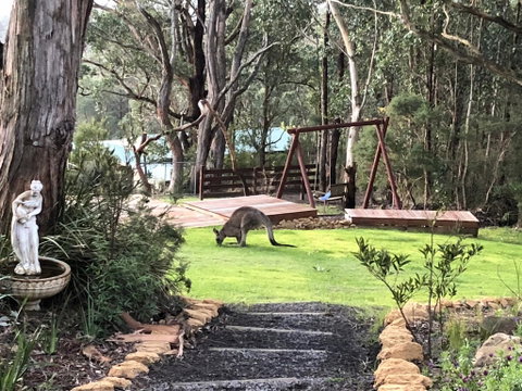 Southern Anchorage Retreat - New South Wales Tourism  3